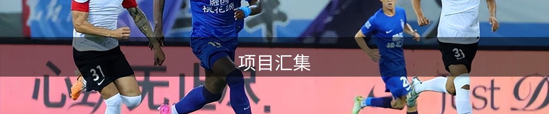 项目汇集